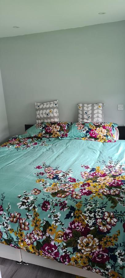 Апартаменти Forget-Me-Not 114 Woodlands Park New Quay Нью-Кі Екстер'єр фото