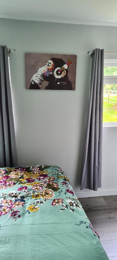 Апартаменти Forget-Me-Not 114 Woodlands Park New Quay Нью-Кі Екстер'єр фото