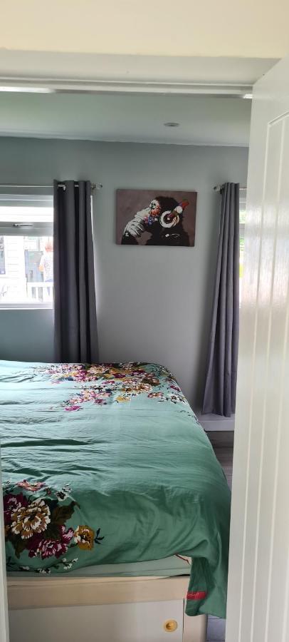 Апартаменти Forget-Me-Not 114 Woodlands Park New Quay Нью-Кі Екстер'єр фото