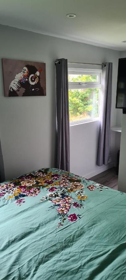 Апартаменти Forget-Me-Not 114 Woodlands Park New Quay Нью-Кі Екстер'єр фото